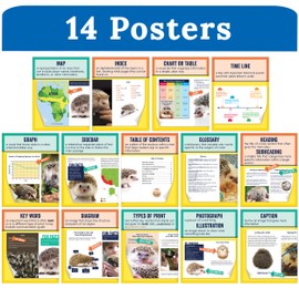 Carson Dellosa 14-Piece Nonfiction Text Posters, 8.5" x 11" Reading Comprehension Wall Decor, Classroom and Office Decorations, English Language Arts Teacher Supplies