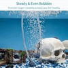 Pawfly Aquarium 0.8 Inch Air Stone Ball Bubble Diffuser Release