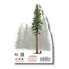Earth Sky + Water - Coastal Redwood - 3.5_ Sticker