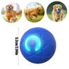 2PC Shaky Ball Toy for Dogs,Interactive Dog Toys,2025 New Vibrating