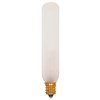 Satco - S3315 - Light Bulb - Frost