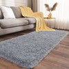 Ailyei Soft Runner Rugs for Bedroom Hallways, 2x6 Grey Fluffy