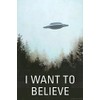 I Want to Believe Poster Print