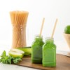 Restaurantware-Basic Nature 8.3 Inch Disposable Straws, 100 Sustainable Straws -