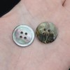 Shell Buttons, Shellfish, Single Sided, Black Butterfly Shell Shirt Button,