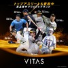 VITAS (バイタス) ホエイプロテイン100 ブルーベリーヨーグルト風味 WPCプロテイン 国内製造 1kg