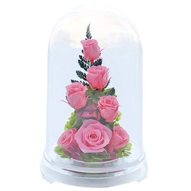 Art Four Seasons PR Preserved Flowers (Pink)