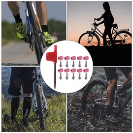 CYSFETENA Olive Head Set for SRAM StealthamaJig Brakes, Quick Coupling for Oil Pipe, 10 Pieces Oil Needles, Olive Plug Inserts for AVID Hydraulic Disc Brake, Bicycle Brake Hoses