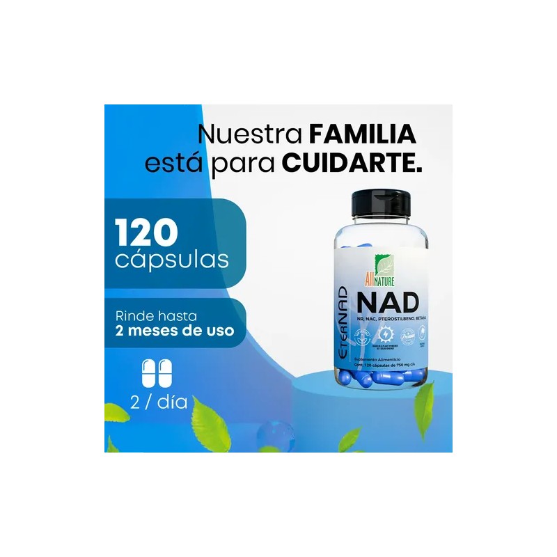Nad Nicotinamida Ribosido 120 Capsulas All Nature