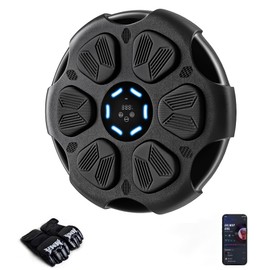 SOHOMACH Wall-Mounted Music Boxing Machine with Gloves, Smart Bluetooth Punching Equipment, Indoor Home Gym Workout Boxing Trainer