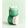 Essence Herb Essenhive Tea Tree Soothing In Calming Cream 80ml