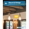 Sunco 10 Pack ST64 Vintage Edison LED Bulb, 1500 Lumens