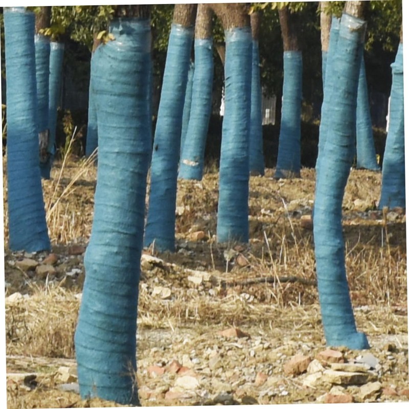 Levemolo 2 Rolls Tree Protector Wraps Cold Warm Keeping Tree