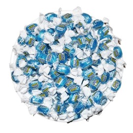 Bulk Jolly Ranchers | 1 lb | Ships in an Aromatik™ Box | Sugar Free Raspberry