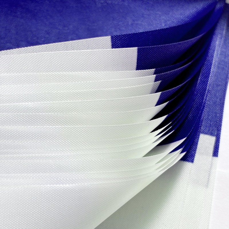 TSMD 2 Packs France Flag Banner French Flags String Small