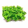 Aquatop Plant Power Pack