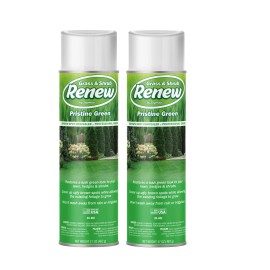 Seymour 20-602 Grass and Shrub Renew Paint, Pristine Green, 2/Pack