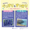 Sleeping Beauty, Peaceful Sleep, Lavender Scent, Warming, Pocapoka, Pleasant Salt,