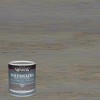 Minwax PolyShades Semi-Transparent Gloss Slate Oil-Based Stain/Polyurethane Finish 1 qt