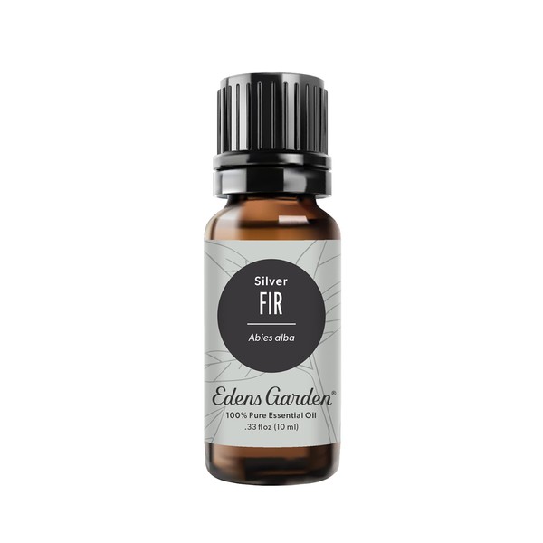 Edens Garden Fir- Silver Essential Oil, 100% Pure Therapeutic Grade (Undiluted Natural/ Homeopathic Aromatherapy Scented Essential Oil Singles) 10 ml