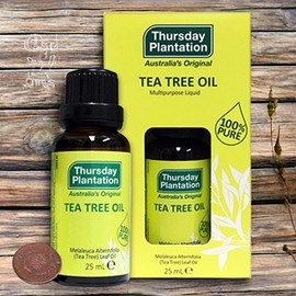 Thursday Plantation Essential Oil Oil Bar Coconut Oil Tea Tree Oil 2 Pieces 25ml / 써스데이플랜테이션 에센셜오일 오일바 코코넛오일 티트리 오일 2개 25ml
