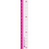 Sonic nanopita Girl Straight Ruler 15 cm Reversible