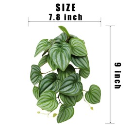 WOLEDOE 2Pack Reptile Fake Plants for Terrarium, Snake Tank Accessories, Habitat Decor Artificial Hanging Plants with Suction Cup - Fake Calathea Orbifolia