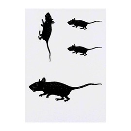 4 x 'Spotted Rat' Temporary Tattoos - Water Resistant, Skin-Safe, Non-Toxic Transfers, Mixed Sizes (TO00016374)
