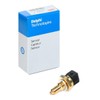 Delphi TS10270 Switch
