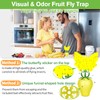 Fruit Fly Trap for Indoors,2025 Upgrade Fruit Flies Gnat Killer