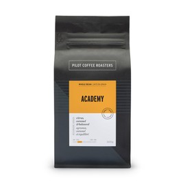 Pilot Coffee Roasters Academy Signature Everyday Blend, Whole Bean Coffee, 300 g