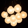 White Pearl Outdoor Patio Globe String Lights (10 Foot, G40