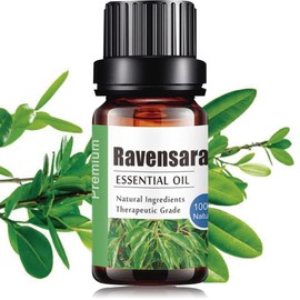 Aceites Esenciales de Ravensara Aromaterapia - Natural 100% de Aceite Esencial Natural Conjunto de Difusores y Humidificadores con Caja de Regalo Exquisita (UVa Natural, 10 ML) (Ravensara)