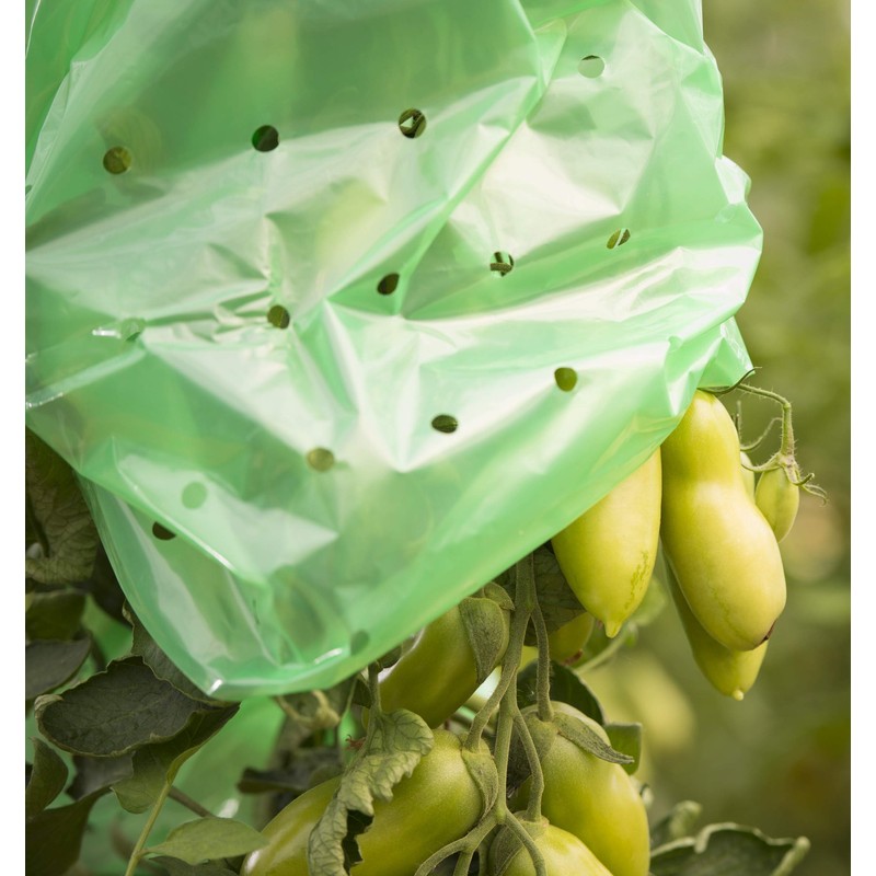 Windhager Tomato Foil Hose Strong, Tomato Cover Plant Protection Plant