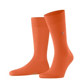 Burlington Men's Lord M So Cotton Plain 1 Pair Socks, Orange Pumpkin 8364, 6.5-11