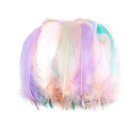 TYEQWT Feathers for Crafts, Pack of 400 Craft Feathers, Feather Decoration, Large Feathers, Craft Feathers Accessories for Carnival Decoration, DIY Earring, Wedding, Dream Catcher, Headdress Feathers,