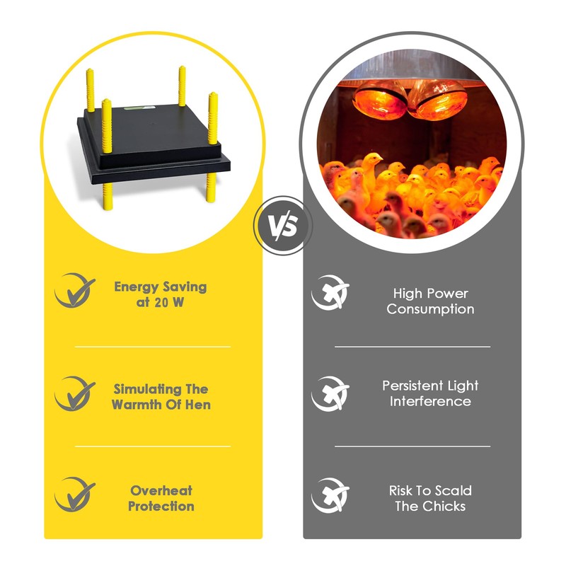 Eggluuz Chick Brooder Heating Plate, 12" x 12" Brooder Heater