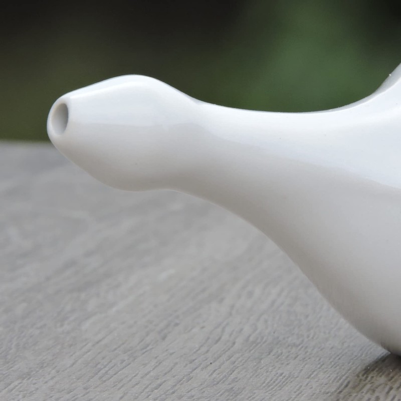 HealthGoodsIn Ceramic Neti Pot, Dishwasher Safe, for Nasal Cleansing +