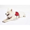 iEnergy™ MIC Dog Harness with Two Side Pockets & Ideal