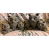 Unbranded 2 VTG Owls Garden Statues- RESIN Light Gray -