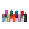 Plastic Cup with Lid and Straws, 710 ml Drinking Cup,