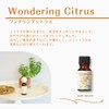 ブレンド精油 ワンダリングシトラス 100ml**