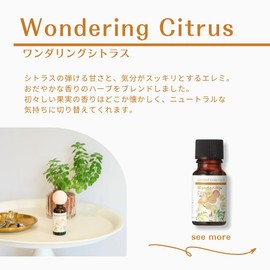ブレンド精油 ワンダリングシトラス 100ml**