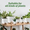 YNNICO Indoor Self Watering Planters with Drainage Holes and Saucers,