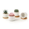 ZOUTOG Succulent Pots 3.15 Inch,4 Pack Succulent Planters,Small Pots for