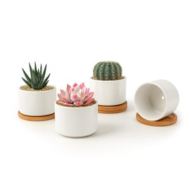 ZOUTOG Succulent Pots 3.15 Inch,4 Pack Succulent Planters,Small Pots for Plants with Drainage and Tray,White Ceramic Flower Planters for Indoor Plants,Home,Office,Desk