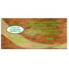 Beautiful Birthday Invitations for Adults Original – Change at Any