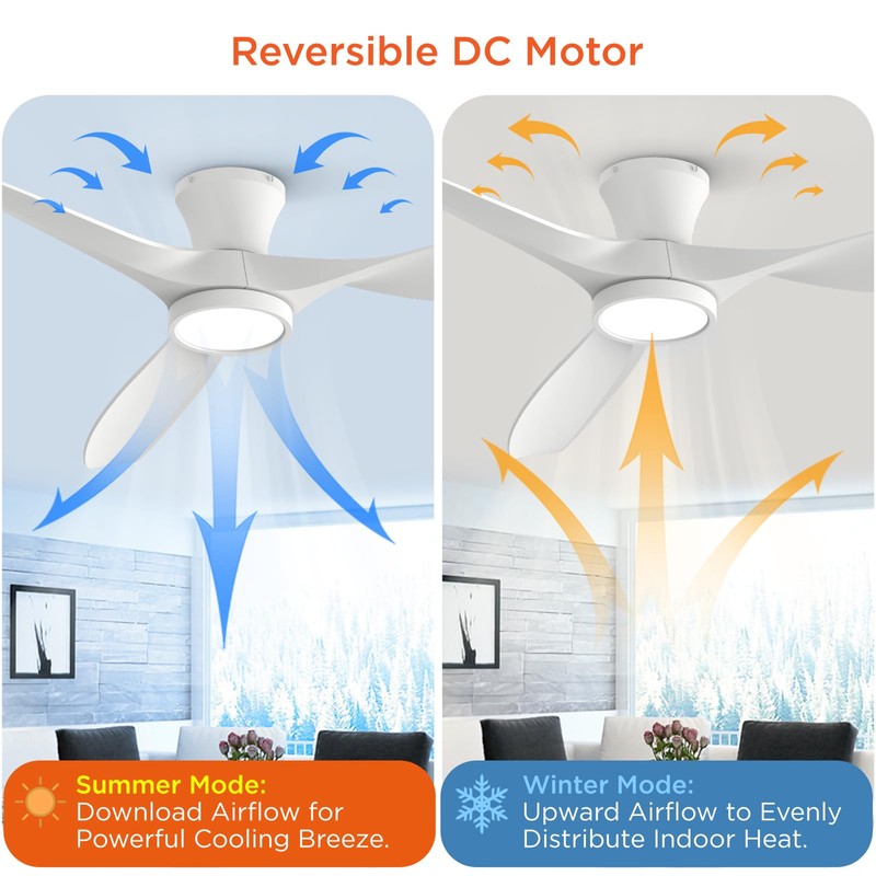 TALOYA 52 inch Ceiling Fans with Lights Remote Control, Modern