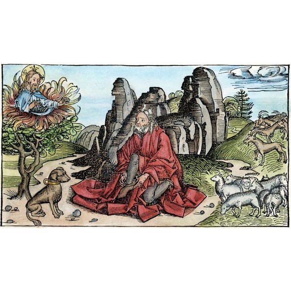 Moses & Burning Bush Nmoses And The Burning Bush From