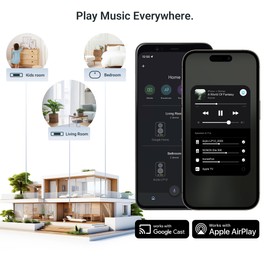 Arylic LP10 Wireless Music Streamer for Home Audio, AirPlay 2, Google Cast, Spotify Connect, Tidal Connect & Apple Home, WiFi and Bluetooth Audio Preamplifier for Amplifiers and Speakers